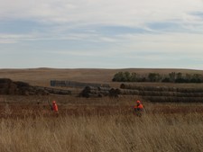 J Bar Lazy 7 - South Dakota Pheasant Hunting 2