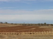 J Bar Lazy 7 - South Dakota Pheasant Hunting 3