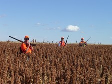 J Bar Lazy 7 - South Dakota Pheasant Hunting 4