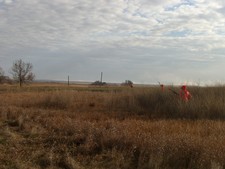 J Bar Lazy 7 - South Dakota Pheasant Hunting 5