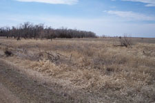 Cattail Haven Land 3