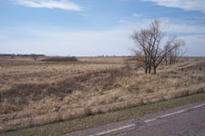 Cattail Haven Land 4