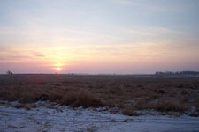 Cattail Haven Land 5