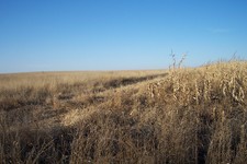 J Bar Lazy 7 Pheasant Camp Private Land Self Guided Hunting 10