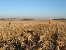 J Bar Lazy 7 Pheasant Camp Private Land Self Guided Hunting 9