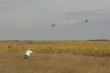 View The Photo Gallery