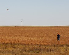 Aberdeen South Dakota Pheasant Hunting