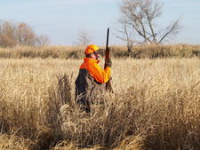 Cattail Haven Land 9
