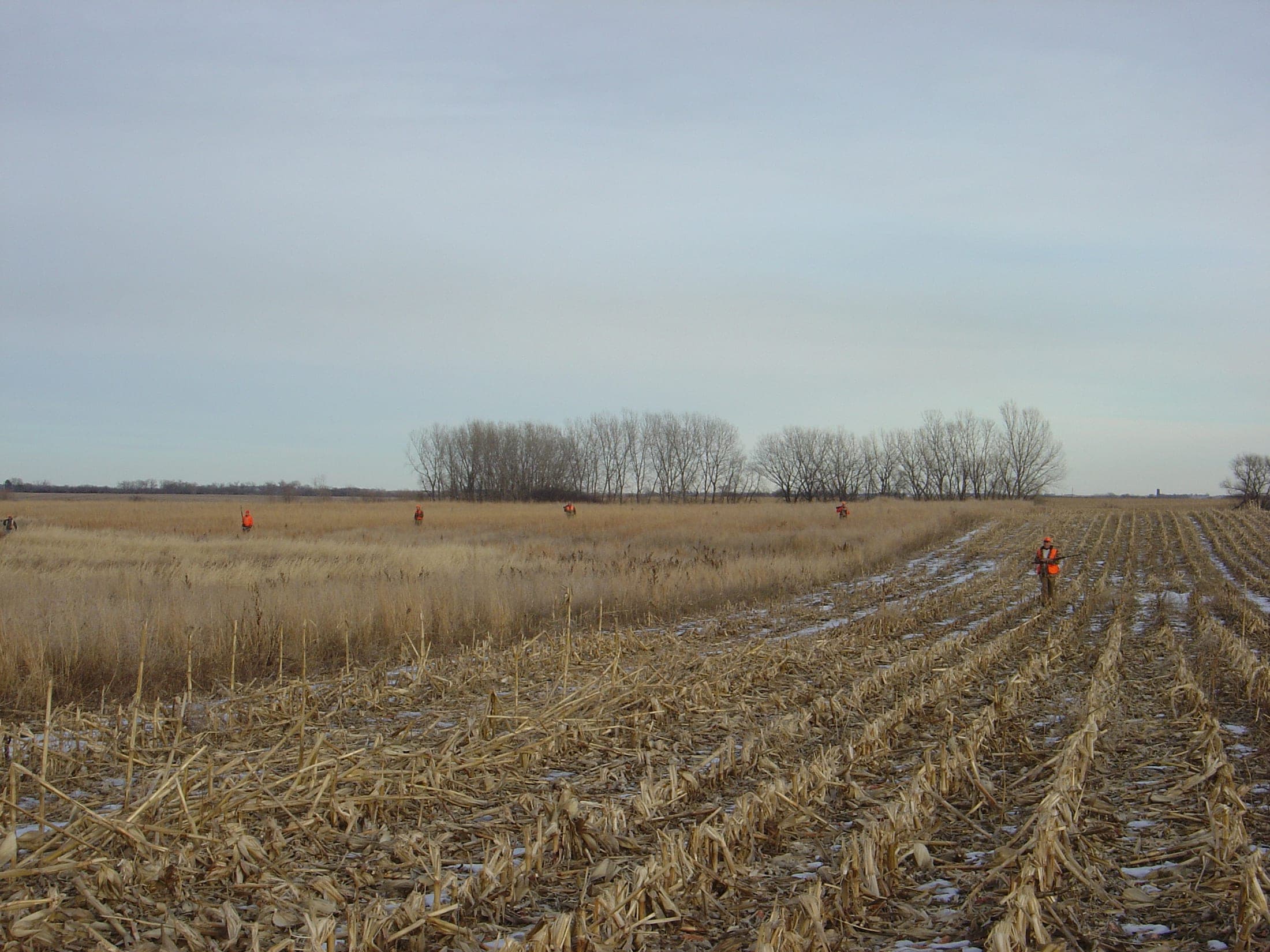 Pheasant Camp Lodge image 12