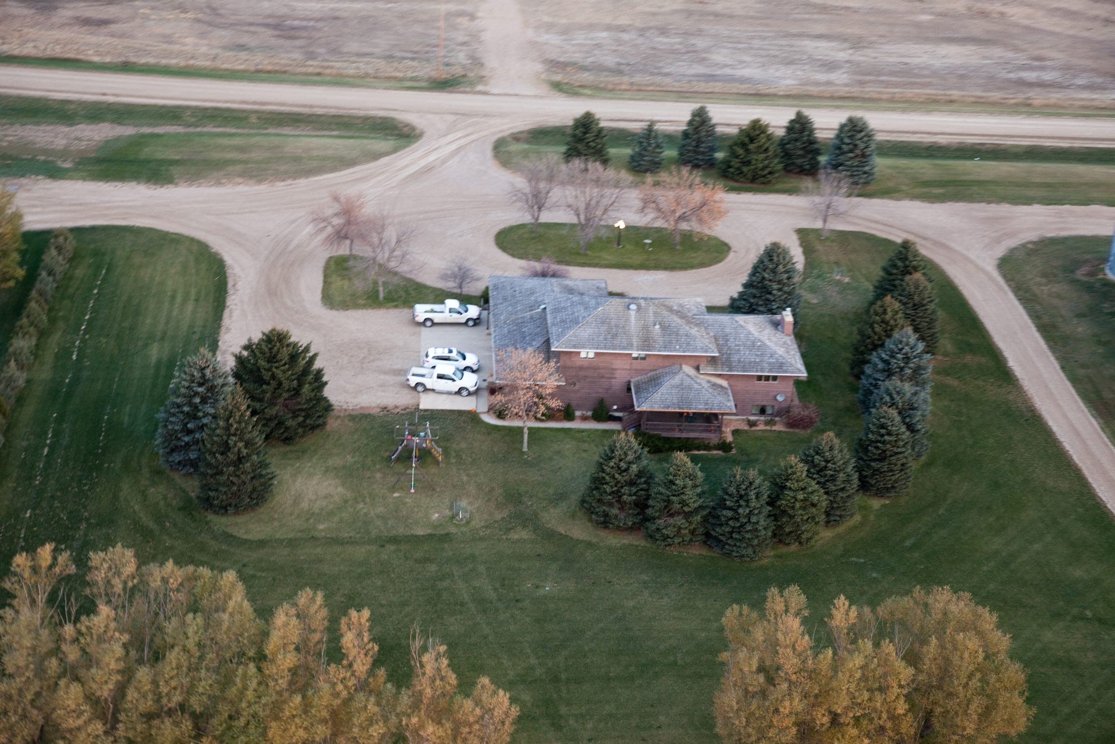 Faulkton South Dakota Pheasant Hunting | Faulkton, SD image 12