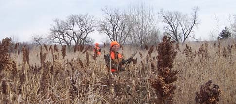 West River Adventures Pheasant Camp image 13