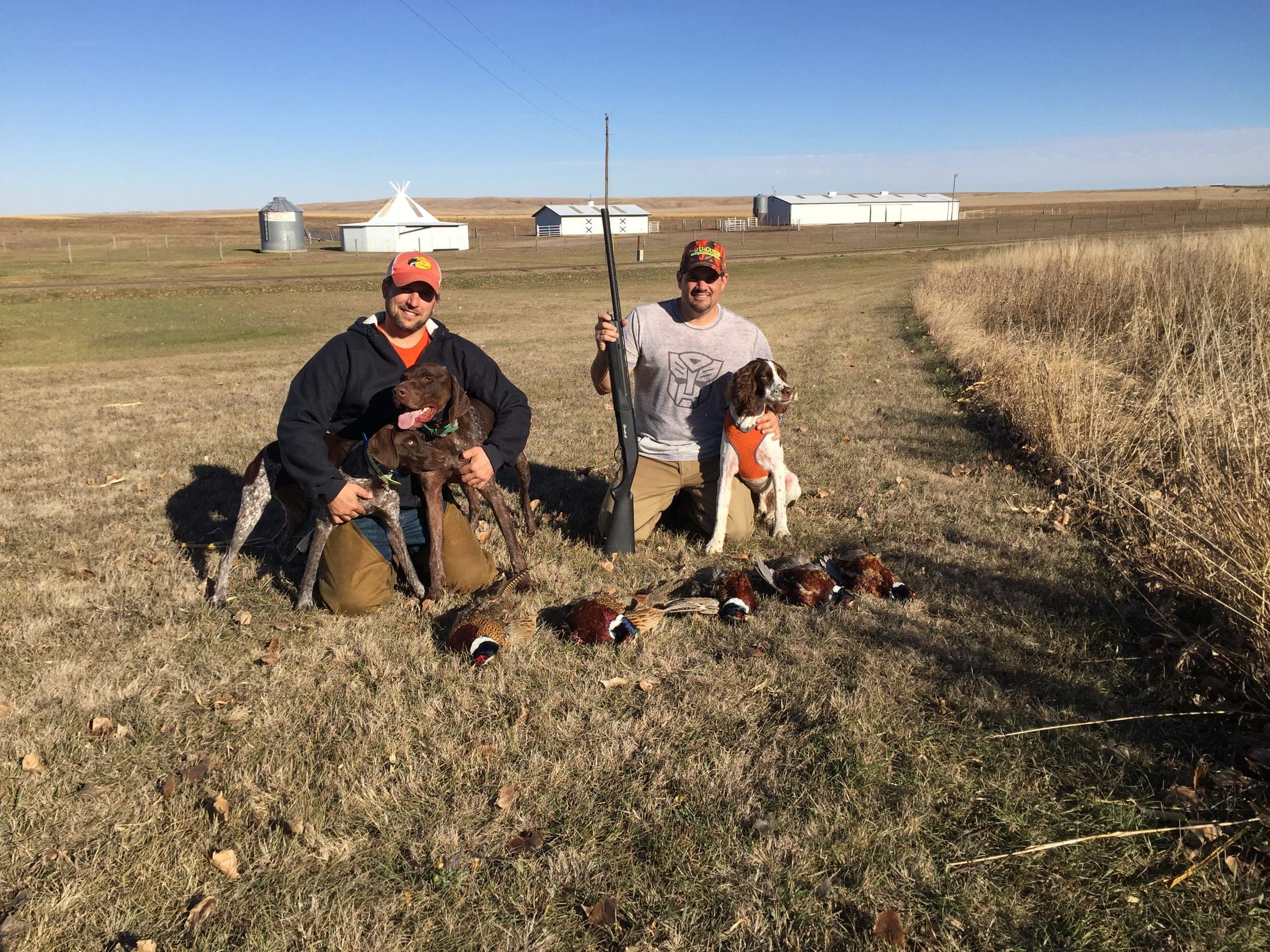 Gunner's Haven Pheasant Camp image 15