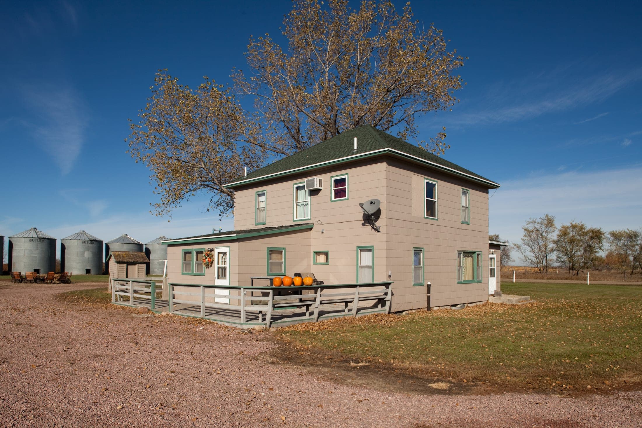 Faulkton South Dakota Pheasant Hunting | Faulkton, SD image 19