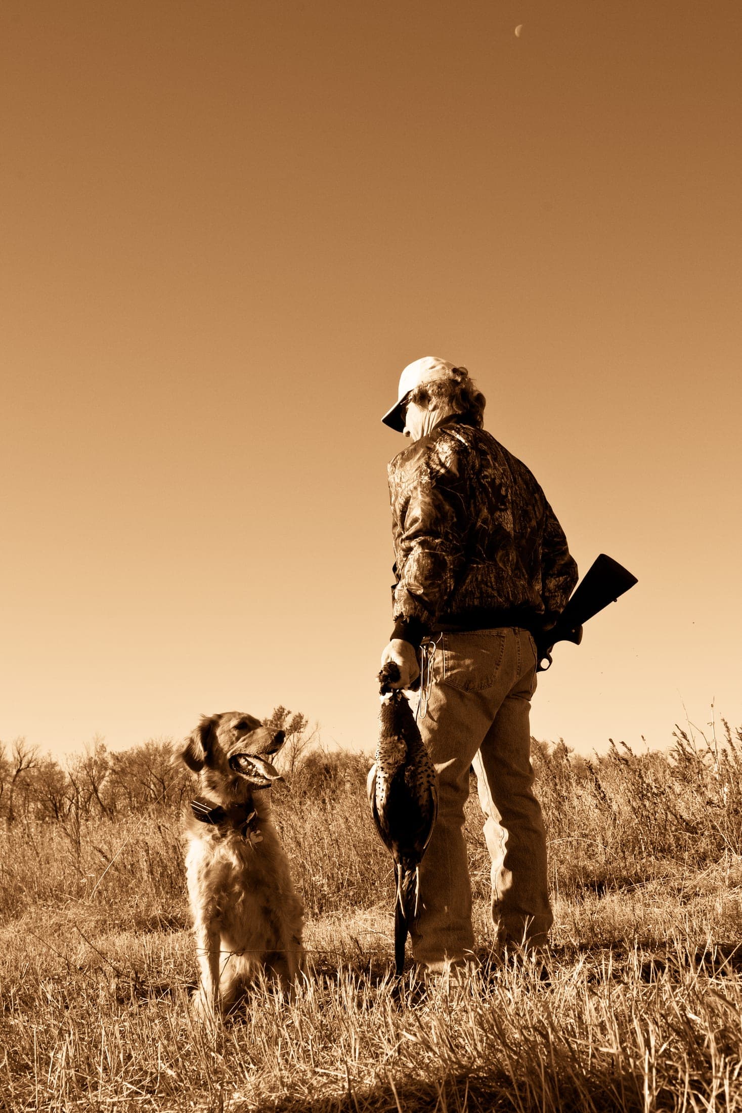 Faulkton South Dakota Pheasant Hunting | Faulkton, SD image 4