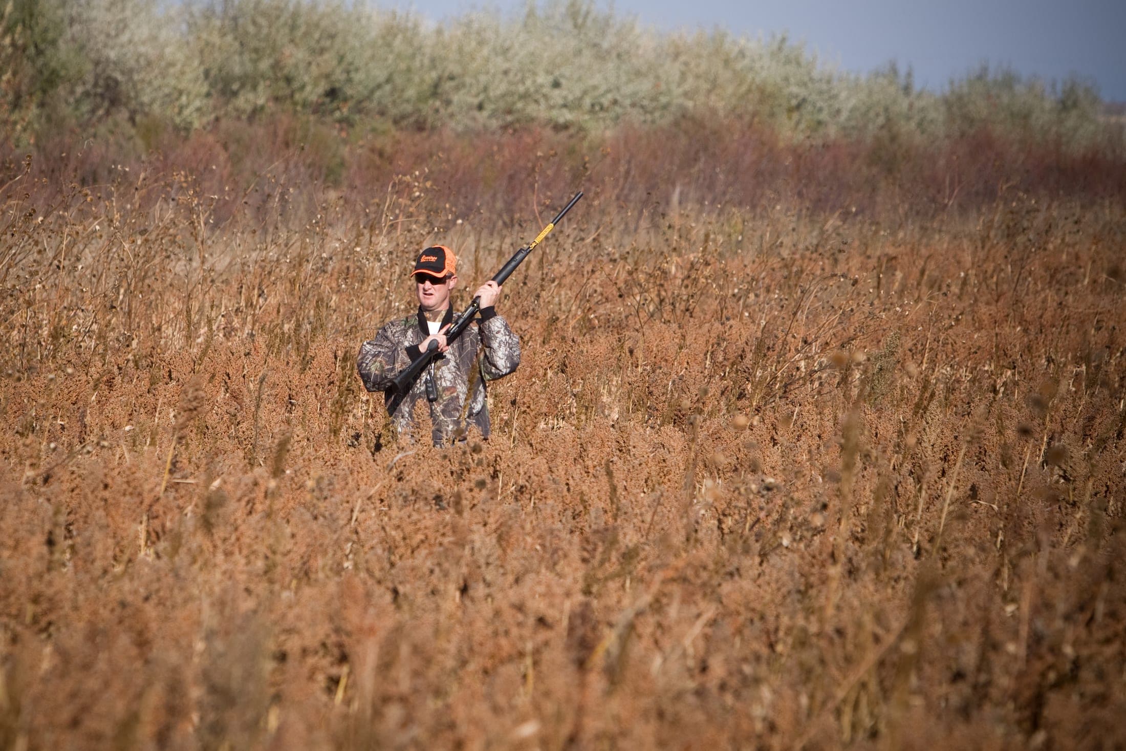 Faulkton South Dakota Pheasant Hunting | Faulkton, SD image 6