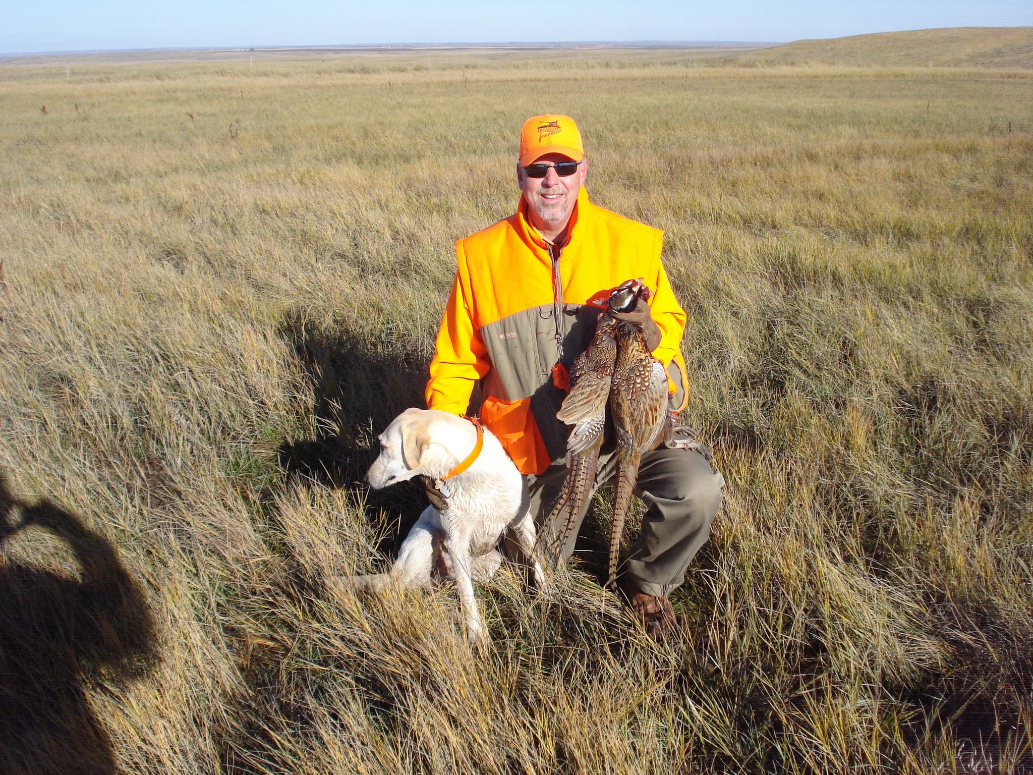 Gunner's Haven Pheasant Camp image 9