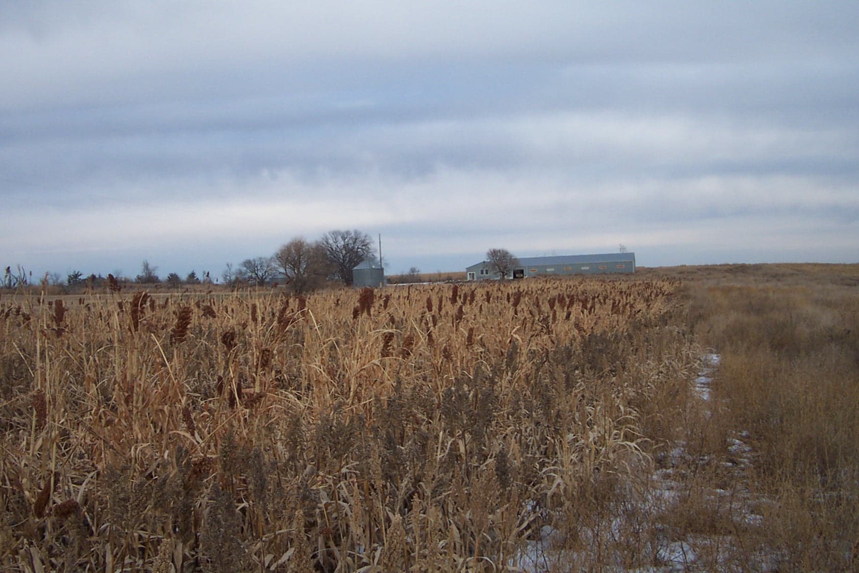 Pheasant Camp Lodge image 11