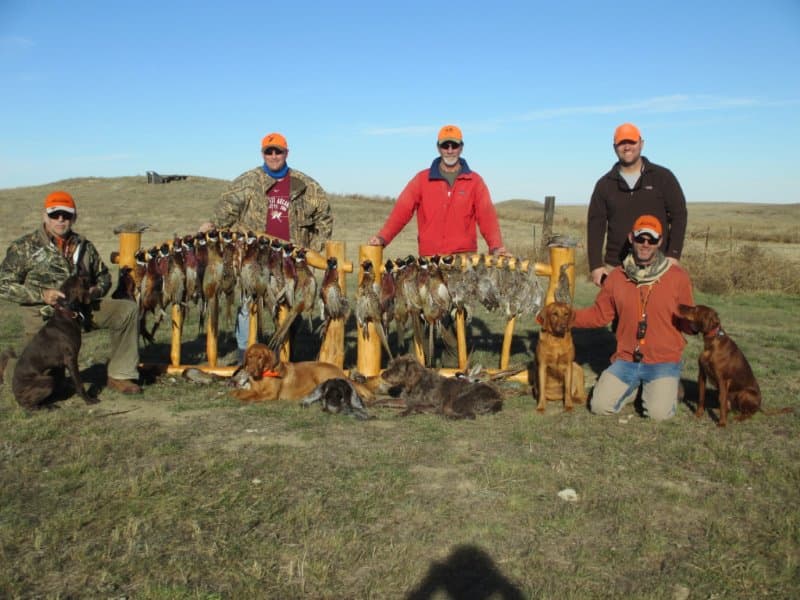 Meadow Creek Pheasant Camp image 1