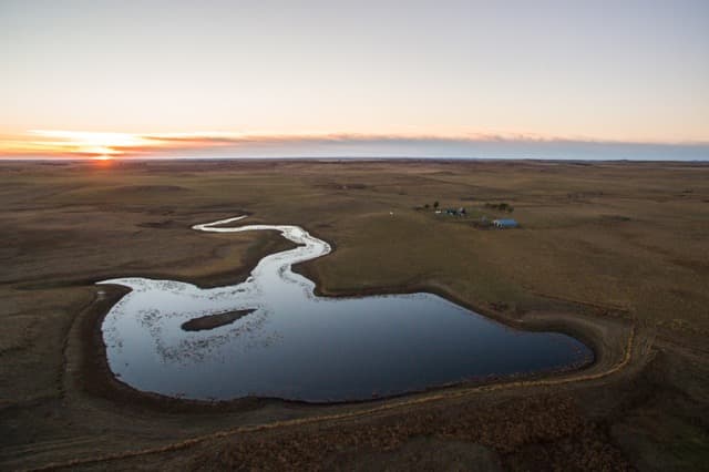 Meadow Creek Pheasant Camp image 10