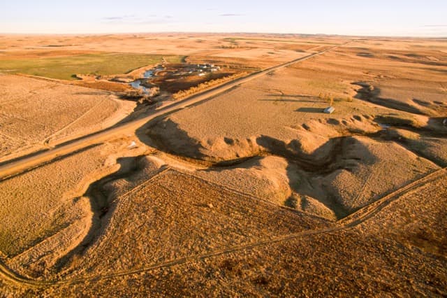 Meadow Creek Pheasant Camp image 12