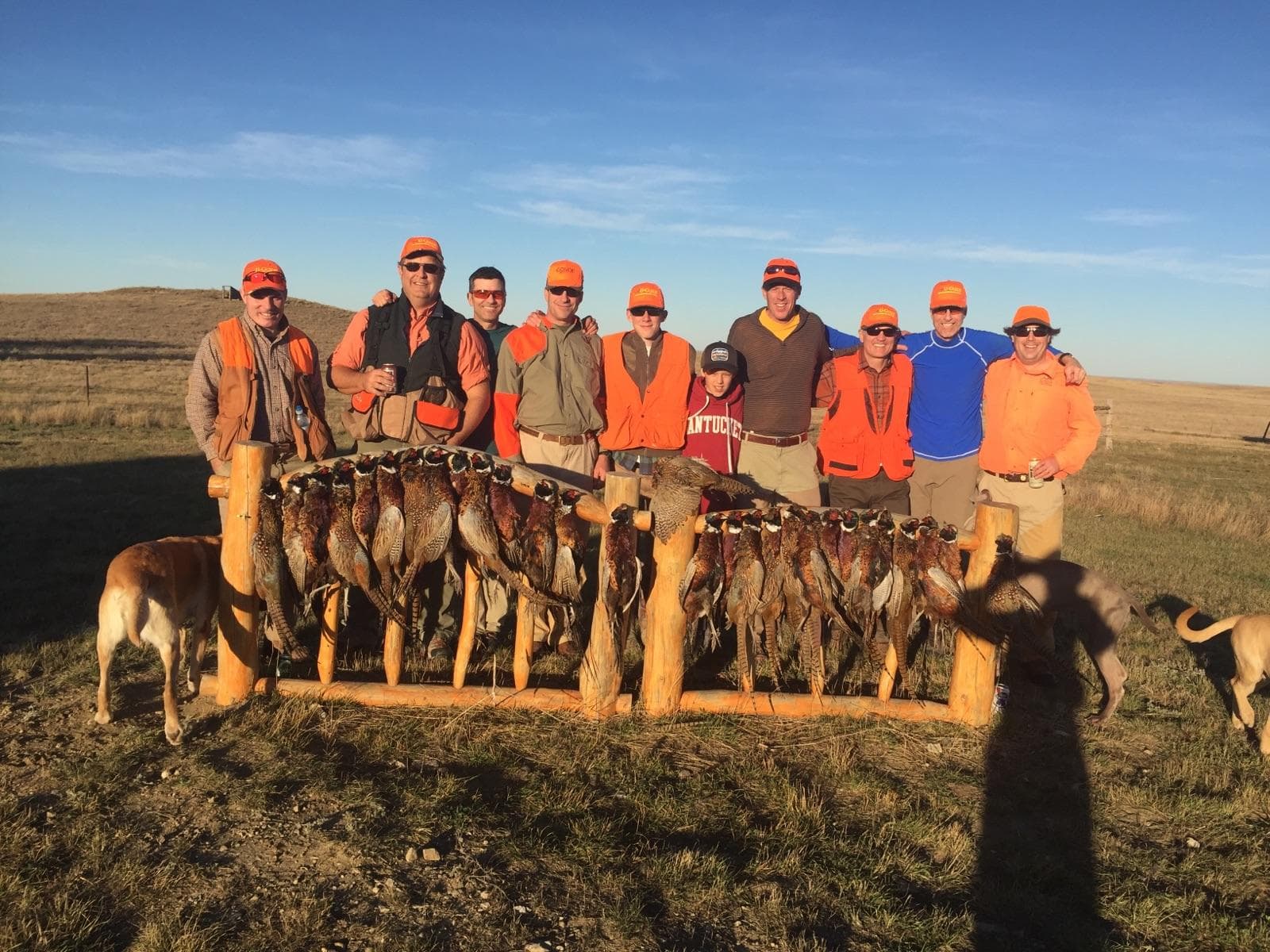 Meadow Creek Pheasant Camp image 13