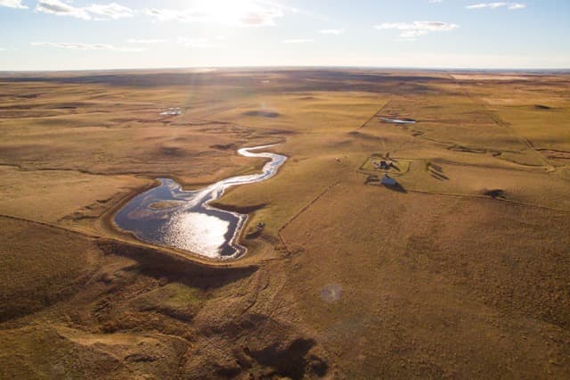 Meadow Creek Pheasant Camp image 19