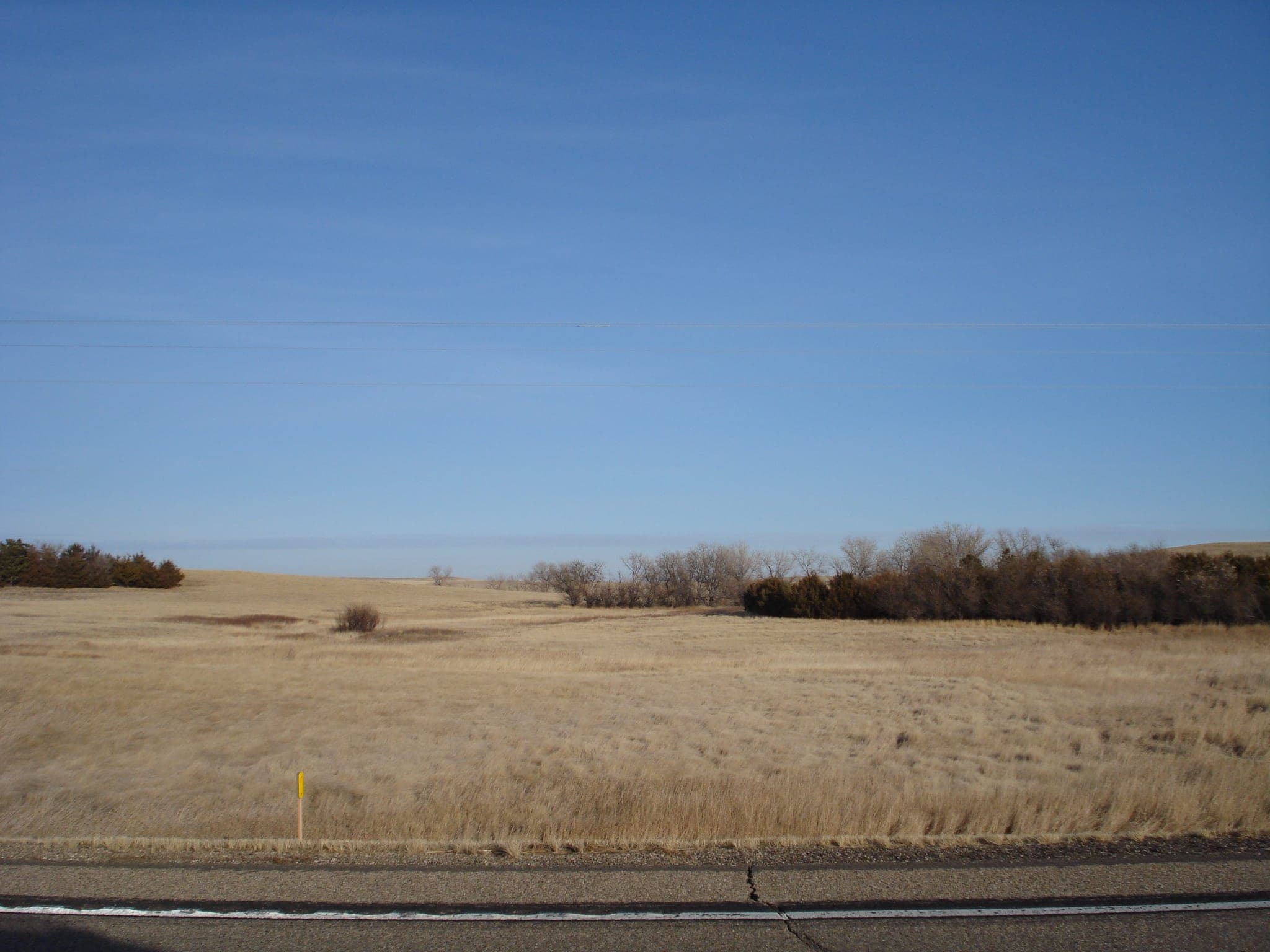 Meadow Creek Pheasant Camp image 2
