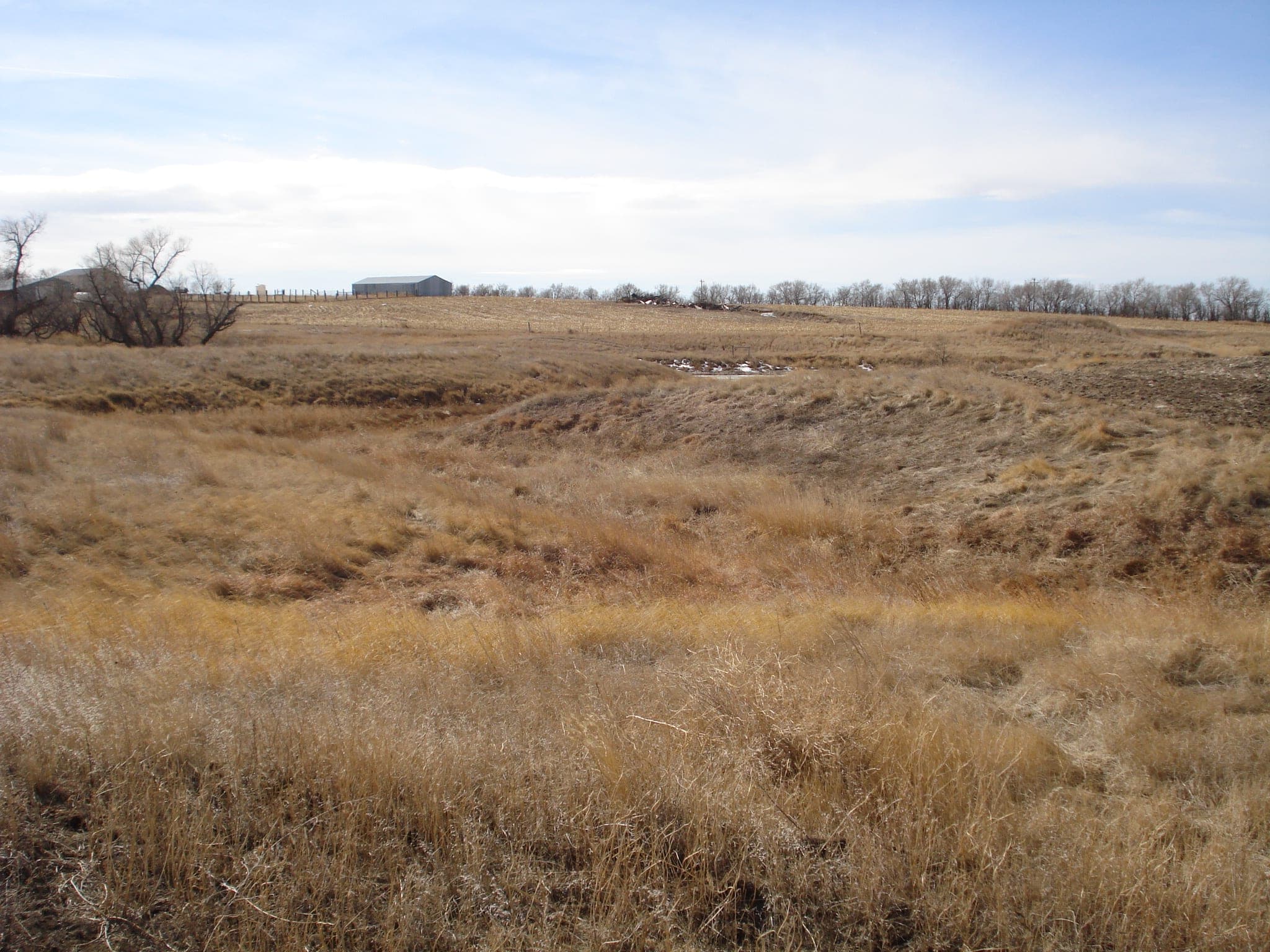 Meadow Creek Pheasant Camp image 3