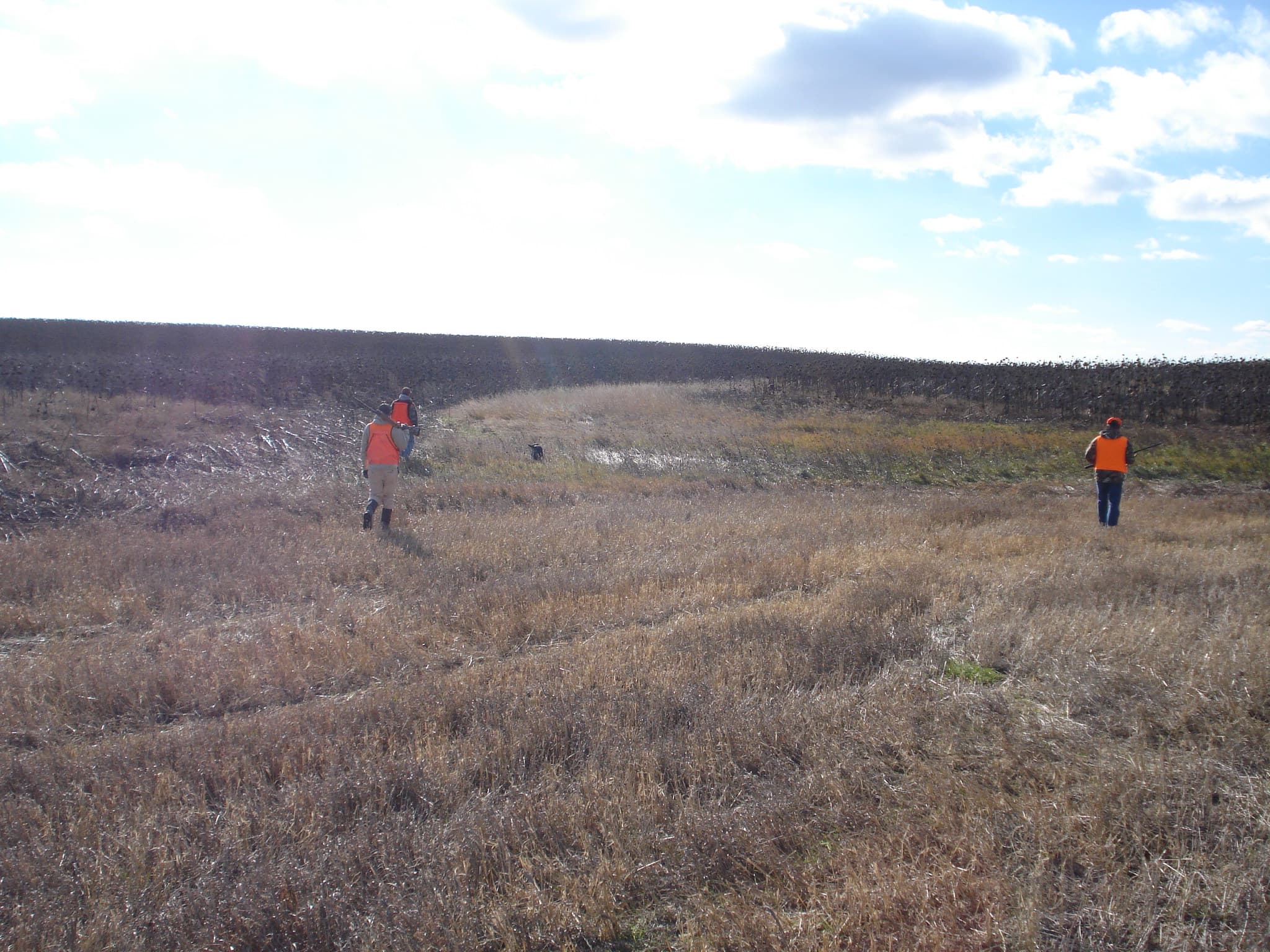 Meadow Creek Pheasant Camp image 4