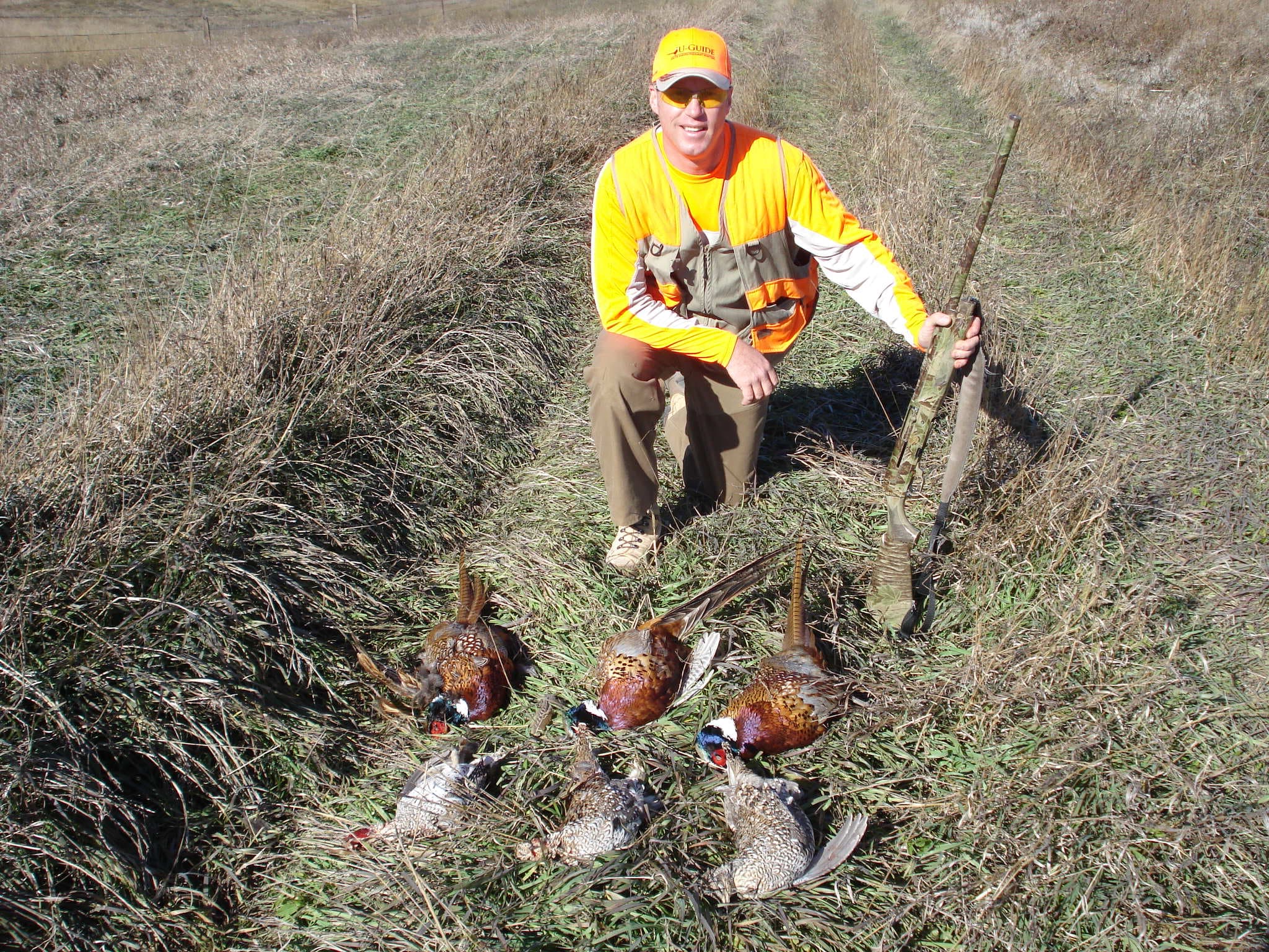 Meadow Creek Pheasant Camp image 7
