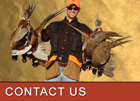 Request a Quote or Book A Pheasant Hunt With UGUIDE South Dakota Pheasant Hunting