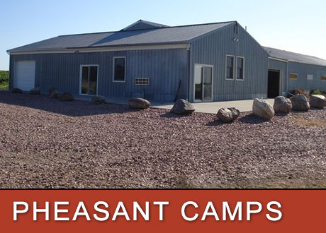 Camps