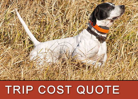 Contact UGUIDE South Dakota Pheasant Hunting