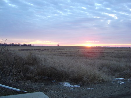 2009 South Dakota Pheasant Hunting Season Outlook Forecast Report - Winter