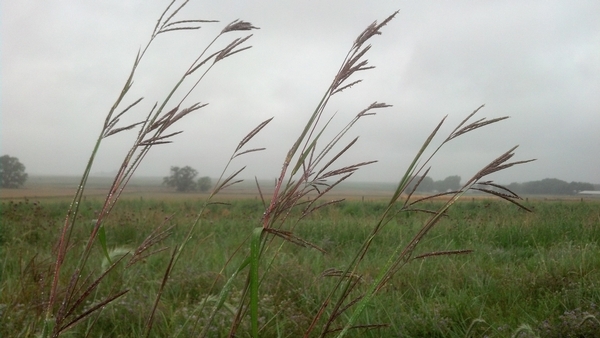 High Functioning Soils