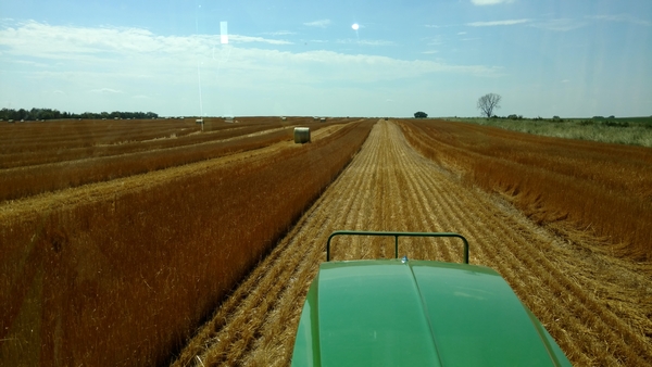 2019 UGUIDE South Dakota Pheasant Hunting Outlook Forecast Brood Count Survey Report