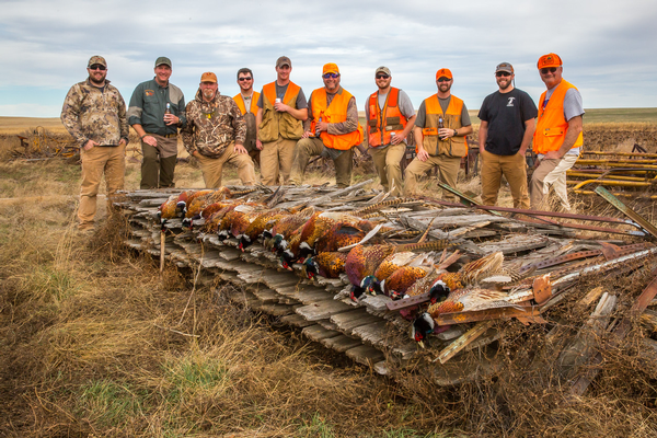 2018 Pheasant Survey Indicates 47% Increase for South Dakota's 100th Hunting Season
