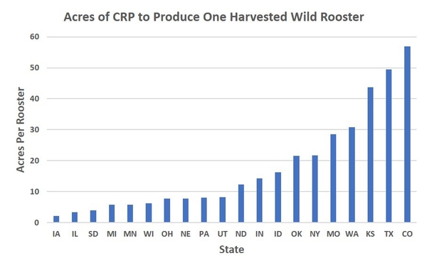 Pheasant Numbers – Past and Future