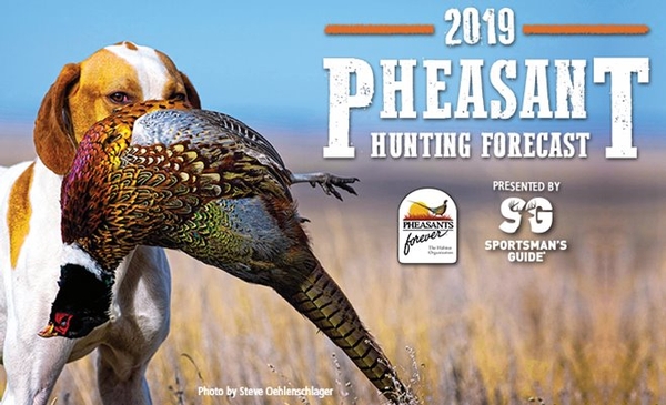 Pheasants Forevers South Dakota Pheasant Hunting Forecast 2019