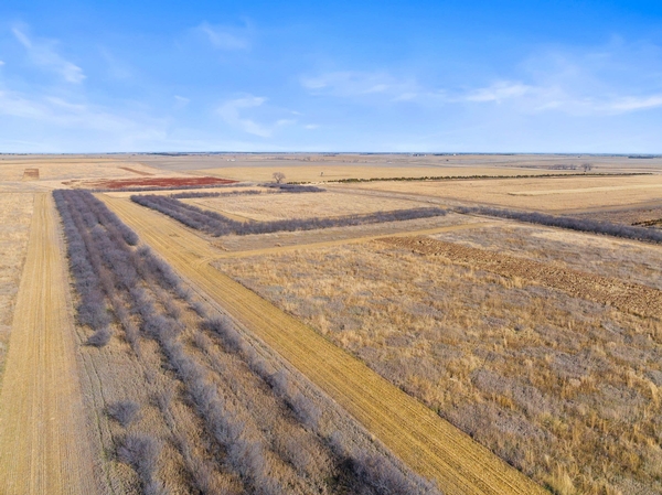 CRP - Where are we at?  DEC 2023