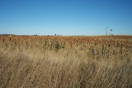 Pheasant Camp Lodge Photo