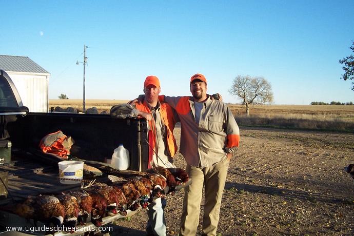 Pheasant Hunting Photo