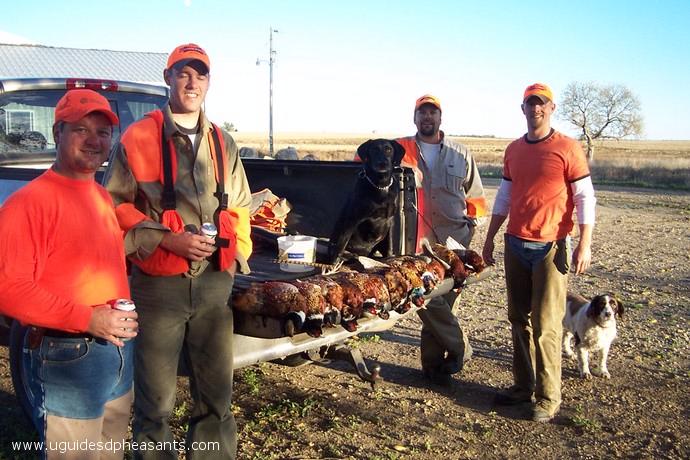 Pheasant Hunting Photo