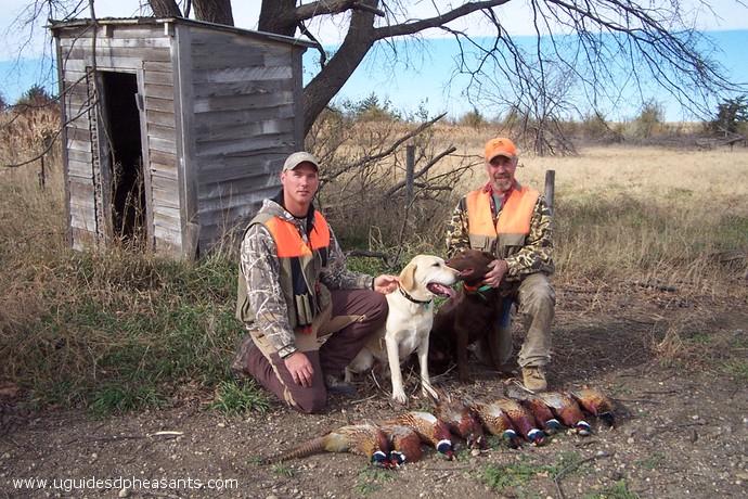 Pheasant Hunting Photo