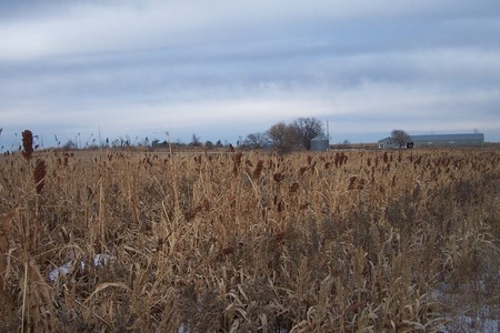 Pheasant Camp Lodge Photo