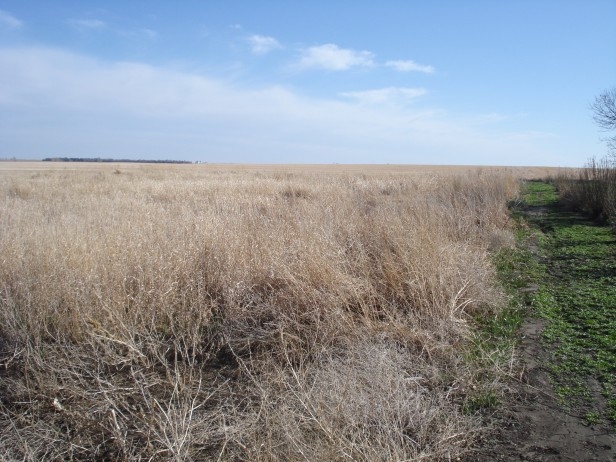 Image 14