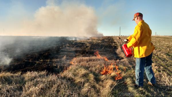 Prescribed Burns Photo