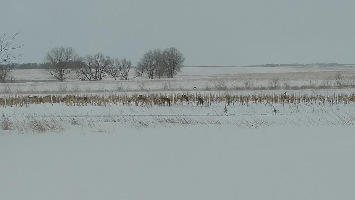 Conservation Farming 2018 Photo