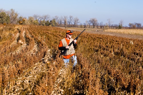 Faulkton Photo