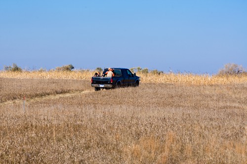 Faulkton Photo